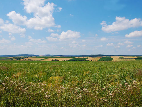 Não há Alpes até onde a vista alcança. Burgenland é para as terras agrícolas mais planas ou ligeiramente montanhosas. Foto: Arnold Weisz ©