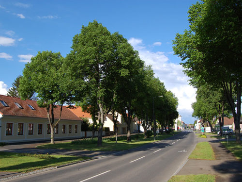 A vila de Morgersdorf, na fronteira com a Hungria,  é típica das vilas desta parte da Áustria. Uma rua principal larga onde as casas estão afastadas da estrada e sem praças centrais. Foto: Arnold Weisz ©