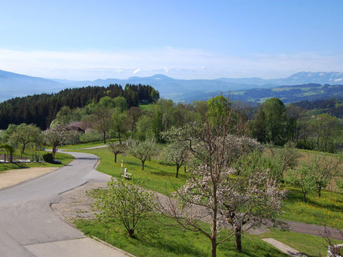 Caminhadas perto de St. Margarethen, no oeste da Caríntia, em um lindo dia de primavera. Foto: Arnold Weisz ©