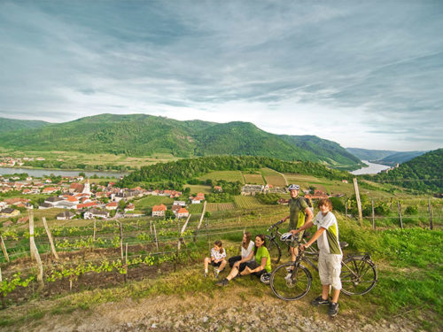 A região de Wachau é perfeita para férias em família e passeios de bicicleta. Foto: Mooslechner / Österreich Werbung ©